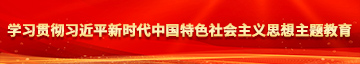 黄色操人视频软件91免费版学习贯彻习近平新时代中国特色社会主义思想主题教育